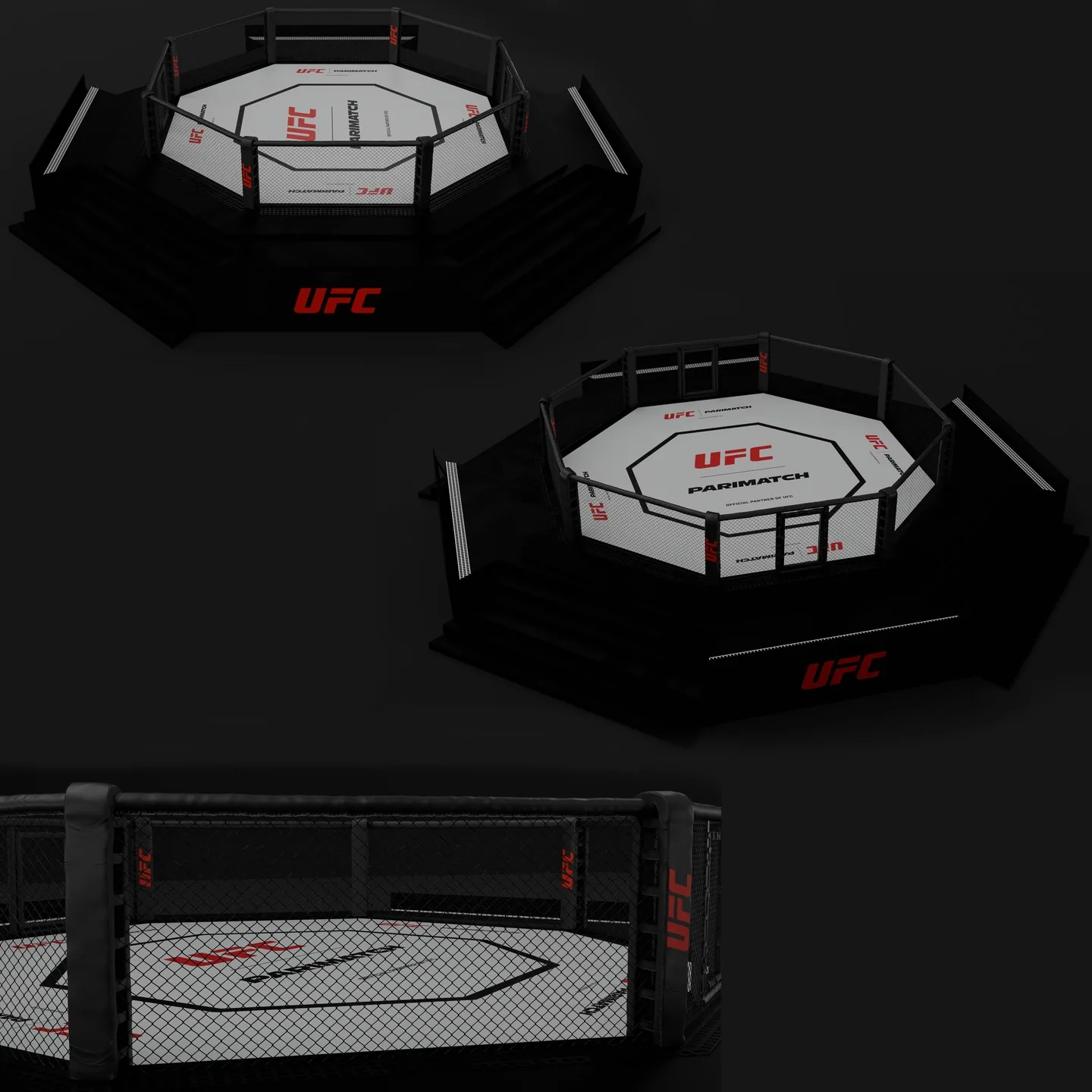 UFC — Fight Assets — frame 5